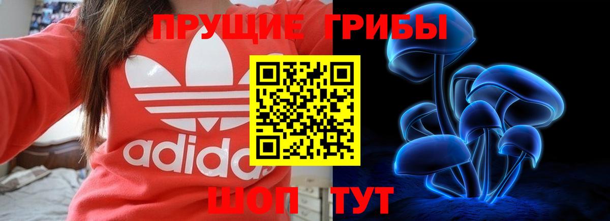 наркотики  Вход с VPN  Тулун  Галлюциногенные грибы ЛСД 